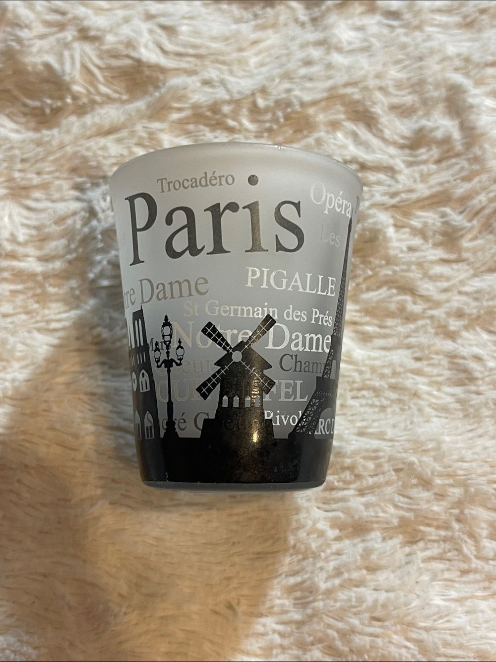 Paris, France shot Glass
